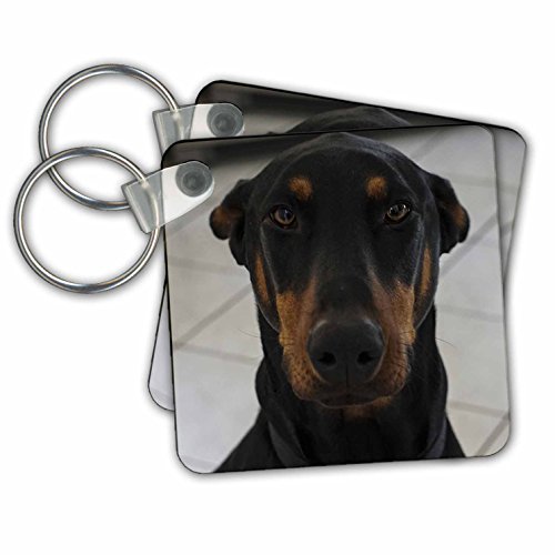 Porte-clés Doberman accroché à votre sac pour afficher votre passion