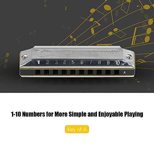 KKmoon Chave profissional de um 10 buracos gaitas de harmônica harmônica de blues de azuis com caixa