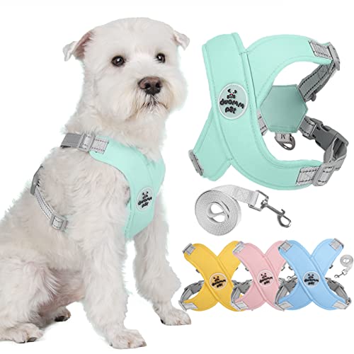 ZUNEA  n[lX ^ ^  xXg n[lX [hZbg y SȂ \ ˃e[v S Ȃ \tg bV n[lX  ʋC  ȒPE h~ hbOEFA ` q ps[ P