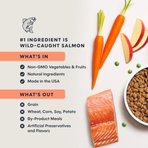 Image of Instinct Original Dry Cat Food, Raw Coated Kibble, Real Salmon, 10 lb. Bag