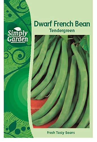 Simply Garden Dwarf French Bean Tendergreen Seeds Grow Your Own Vegetables