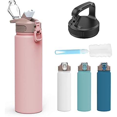 Vacuum Insulated Bottle 750 ML Stainless Steel Water Bottle with Straw FIIO BPA Free Leakproof Insulated Water Bottle with 2 Different Lids Perfect for Work Gym Travel(Pink) Cover