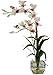 Dendrobium with Glass Vase Silk Flower Arrangement - White
