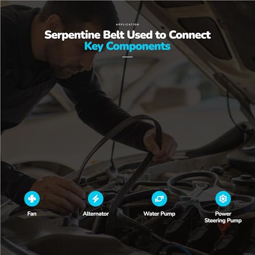 Image of K060667 Serpentine Belt for Hyundai Genesis Santa Fe Tiburon Tucson