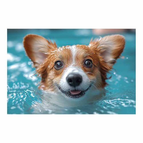 Impression sur toile Corgi décoration murale amusante turquoise 70x100cm