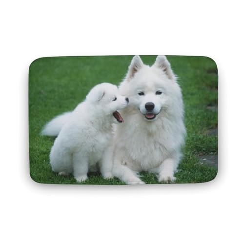 Č  L  oX}bg   z փ}bg  O   \ ~ Aj LN^[ @}bg   ʏ