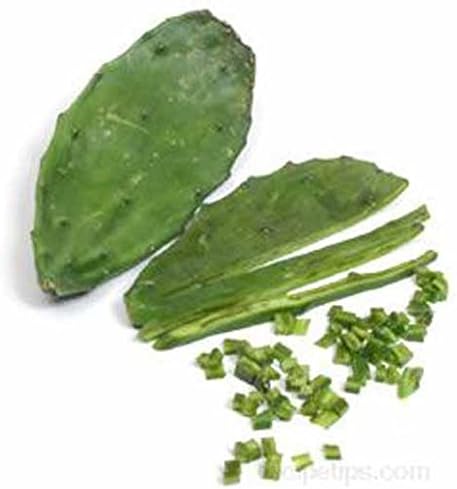 2 almohadillas - Esquejes de plantas de cactus de tuna Live Opuntia