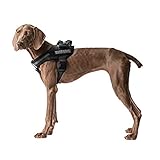 OneTigris MAD Hound Rugged K9 Vest Harness for Medium & Large Dog (Black, Large)