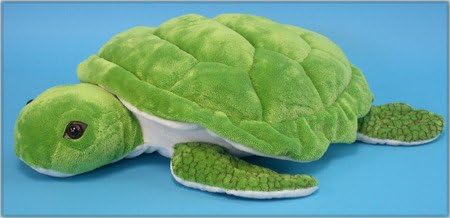 240in tortuga marina grande