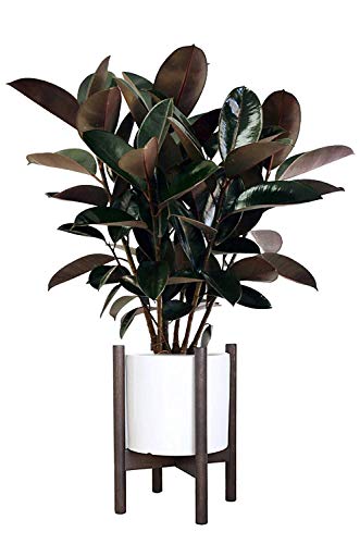 Simple Mid Century Floor Plant Stand - Solid Wood Indoor Flower Pot Holder - Up to 8.5 Inch Planter - Modern Home Decor(Planter Not Included)