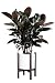 Simple Mid Century Floor Plant Stand - Solid Wood Indoor Flower Pot Holder - Up to 8.5 Inch Planter - Modern Home Decor(Planter Not Included)