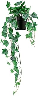 New FEJKA Artificial Potted Plant Decoration Indoor/Outdoor Hanging Ivy 12cm