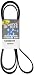 Dayco Drive Rite 5060883DR Serpentine Belt