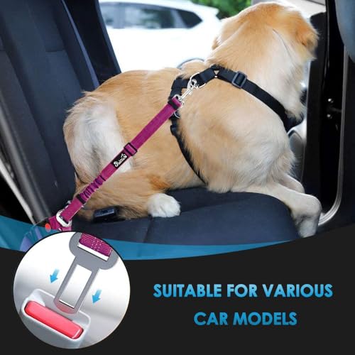 Image of SlowTon Dog Seat Belt for Car, 2 Pack Dog Car Harness Seatbelt with Bungee | 2 in 1 Pet Car Leash Headrest Restraint & Dog Safety Tether Clip, Adjustable with Elastic Buffer, Reflective, Fushia M /L