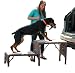 Pet Gear Free-Standing Foldable Pet Stair, Chocolate