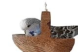 Vögel lieben es, darauf zu turnen, darin zu schaukeln und zu schummern