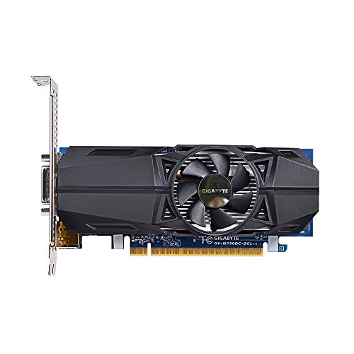 GeForce GTX 750 GV-N750OC-2GL