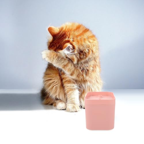 Fuente de agua automática para gatos y perros rosa miniatura 5