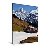 Wasserfest, der Leinwanddruck kann feucht abgewischt werden und ist dadurch auch für Staub-Allergiker geeignet.