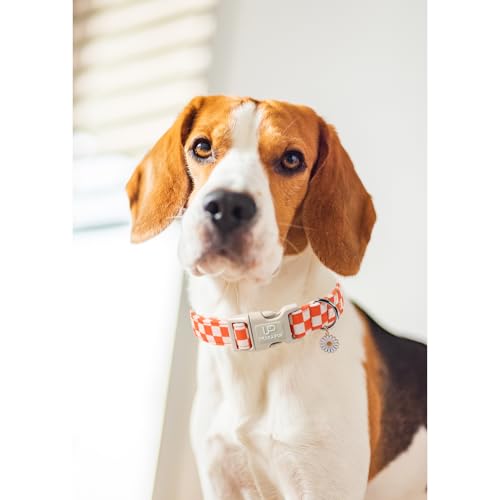 Image of Gingham Fall Dog Collar - Adjustable Orange Picnic Checkered Dog Collar with Daisy Pendant, Classic Autumn Dogs Collars for Girl Boy Dogs
