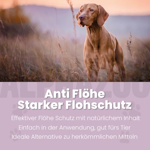 alphazoo Bye Bye Vloh Spray für Hunde 100 ml – mit Lavendel, Geraniol & Zitronen-Eukalyptus. Hilft gegen Flöhe, sanft zur Haut & ohne Alkohol. Natürlicher Schutz, pflegend & hautfreundlich.