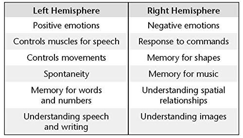 Ap® Psychology Crash Course, 2Nd Ed., Book + Online: Get A Higher Score In Less Time (Advanced Placement (Ap) Crash Course) #TOP4