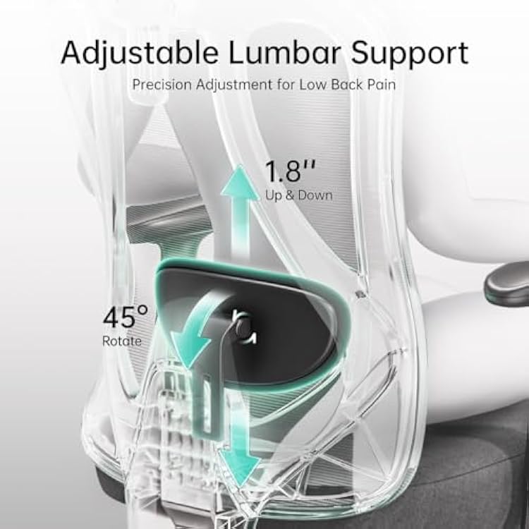Hbada P3 Ergonnomic Office Chair with 2D Adjustable Lumbar Support, Office Chairs with Adjustable Headrest and Armrest, 145 Stepless Tilt Function, Black(No Footrest)