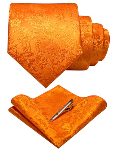 JEMYGINS Mens Orange Paisley Necktie and Pocket Square with Tie Clip Sets(46)