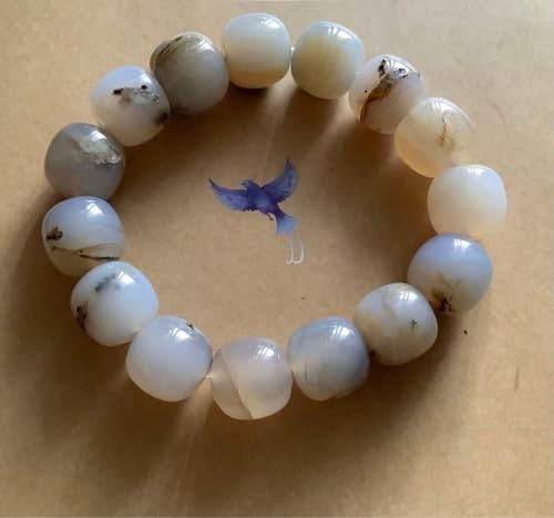 ygt@ChEbh Petrified Wood ؉  uXbg