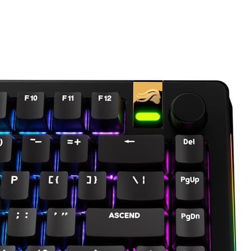 Image of GLORIOUS Gaming - GPBT Basics (PBT Keycaps), Classic Black, No Fade Dye-Sublimated, for Custom Mechanical Keyboards, Fits 100%, 75% 65% 60%, Fits ANSI & ISO, Supports Windows & macOS - English (US)
