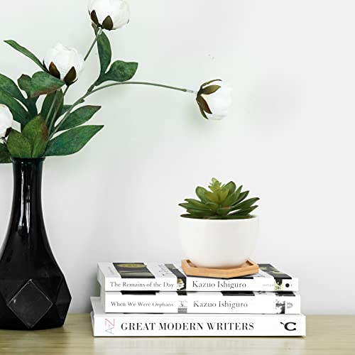 Cosmos 4 Pcs Bamboo Plant Saucer Succulent Pot Holder Drainage Tray With Raised Edge For 3.5 Inch Small Plant Flower Pots (Hexagon Shape) #TOP4