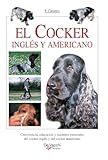 cocker americano nero e bianco  El cocker inglés y americano: Convivencia, educación y cuidados esenciales del cocker inglés y del cocker americano