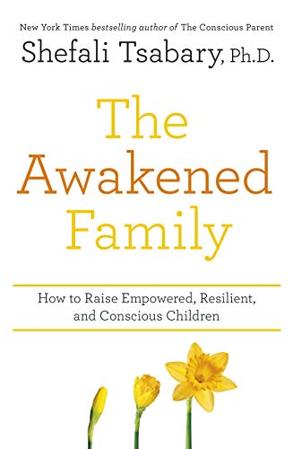 The Awakened Family 1529301777 Book Cover