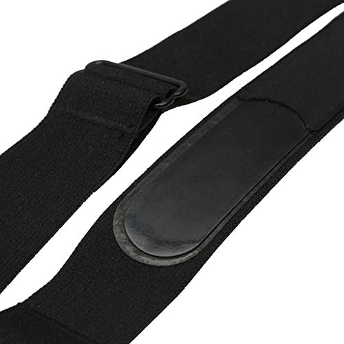 Elastic Heart Rate Chest Belt Strap Band para Monitor de Frecuencia Cardíaca miniatura 5