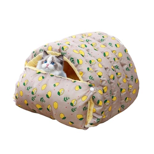 Humkopnl Lp ~ xbh | E \ peg | ͂ \ qLp xbh B,^ q qL  ƒ O s  Q