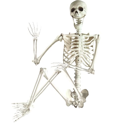 ArtCreativity 6ft Halloween Skeleton Decor, Posable Skeleton Life Size, Plastic