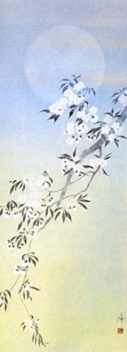 Amazon.co.jp: 中沢勝『桜』日本画 掛け軸 花鳥 さくら 春 月【真筆