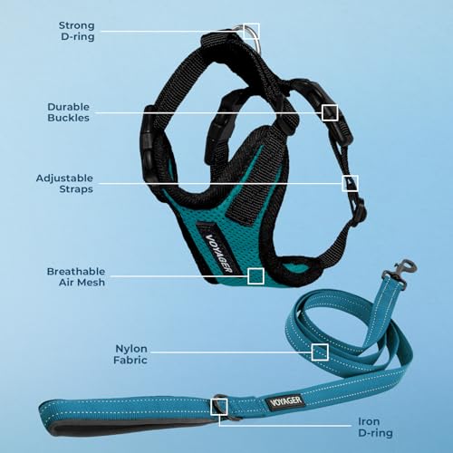 Image of Best Pet Supplies Voyager Step-in Lock Pet Harness w Reflective Pet Leash Combo Set with Neoprene Handle 5ft - Supports Small, Medium and Large Breed Puppies /Cats - Turquoise /Black Trim Set, L