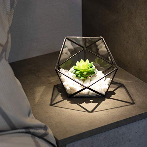 Half Ball Glass Terrarium | M&W - Afbeelding 3