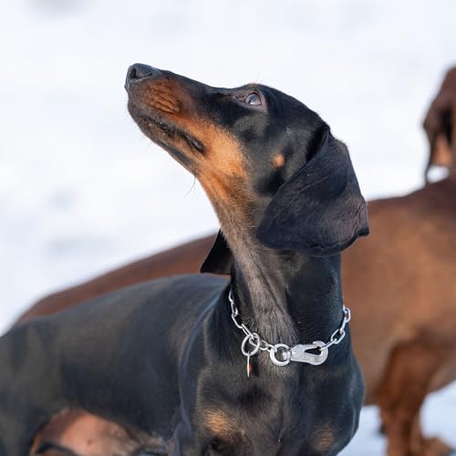 Herm. Sprenger Verstellbare Hundehalskette – Edelstahl, rostfrei, 2,0 mm – Mit Sprenger-Haken, langlebig & sicher für Training & Alltag (30 cm)