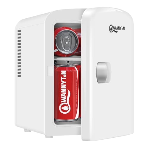 WANNYTON Mini Kühlschrank 4 L, Mini Kühlbox mit Kühl-/Wärmefunktion, tragbarer Kosmetik...