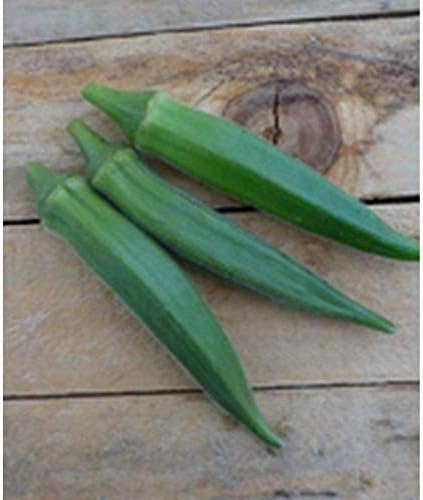 Zarah Hybrid Okra Seeds (300 Seed Package)