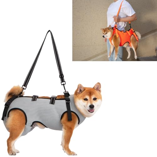 ACUOPNK pn[lXCʋC  pn[lX s⏕ V  pi EȒP V//p//aC ^ ^   r Q nr U  ̑Oƌ둫̕⏕ o֗ (O[,XLȉd41`