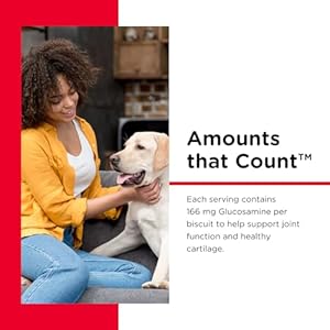 Nutri-Vet Hip & Joint Biscuits for Dogs – Tasty Dog Glucosamine Treat & Dog Joint Supplement – Small Sized Biscuit with 166mg Glucosamine – 16 oz