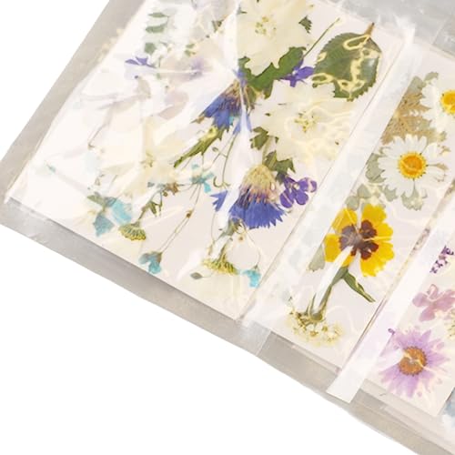 Kit de Flores Prensadas, 100 Piezas para Manualidades miniatura 7