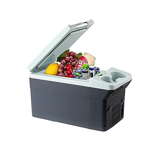XIAOLIN Mini Kylskåp 11 Liter/Kallare Och Varmare Termoelektrisk Liten Kylskåp Portabel Ac/Dc För Bil Och Hem, För Hudvård & Kosmetika