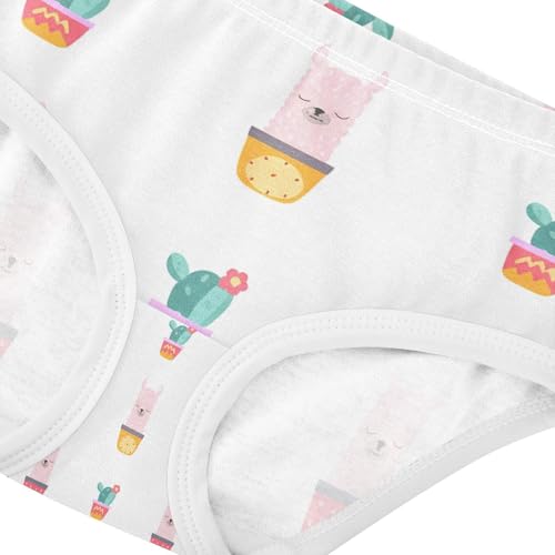 Cute Llamas Alpaca Toddler Girls's Underwear 2T 202c12904