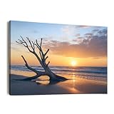 Canvas Wall Art Prints Sunrise Driftwood Beach Jekyll Island Large Framed Artwork Wall Paintings Pictures Posters 24'x36' Home Decor for Living Room Office Bedroom
