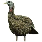 Avian-X Lookout Hen Turkey Decoy, Lifelike Collapsible Decoy, Multi, Model:8006