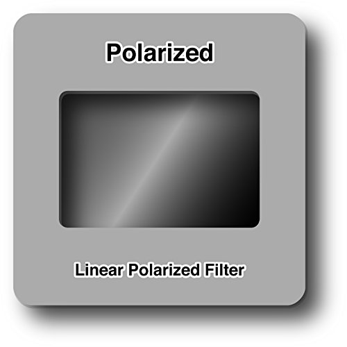 Image of Rainbow Symphony Polarized Slides, Package of 25